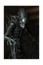 ULTIMATE BIG CHAP SCALE ACTION FIGURA 23 CM 40TH ANNIVERSARY ALIEN 1979 RE-RUN - Imagen 6