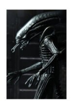 ULTIMATE BIG CHAP SCALE ACTION FIGURA 23 CM 40TH ANNIVERSARY ALIEN 1979 RE-RUN - Imagen 5